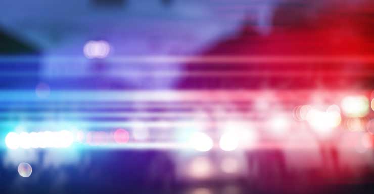 2 teens accused of burning American flag, starting fire in Cape Coral park and church