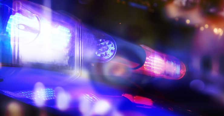 Coral Springs man tried to beat mother to death with frying pan over dementia diagnosis, police say