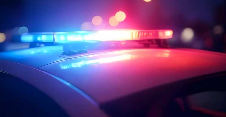 Gainesville man arrested after dragging elderly person by neck