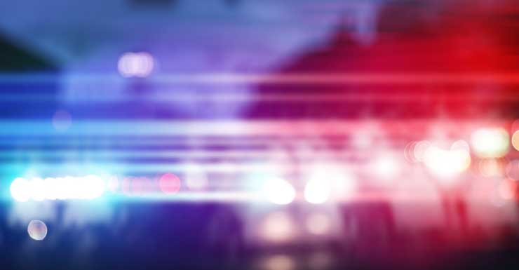 Man stabbed on Miami-Dade bus after wishing suspect, 73, a ‘Merry Christmas,’ cops say