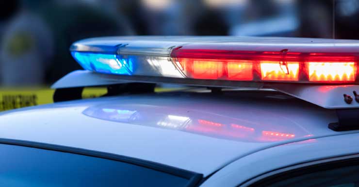 One injured, woman arrested after knife attack at homeless camp in Port Charlotte