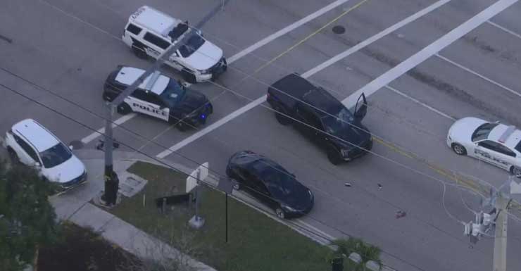 Pedestrian struck by at least 1 vehicle in Hollywood