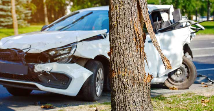 Wellington man dies, 10-year-old boy hurt after SUV crashes into tree