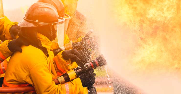 Dog missing after running out of St. Pete house on fire