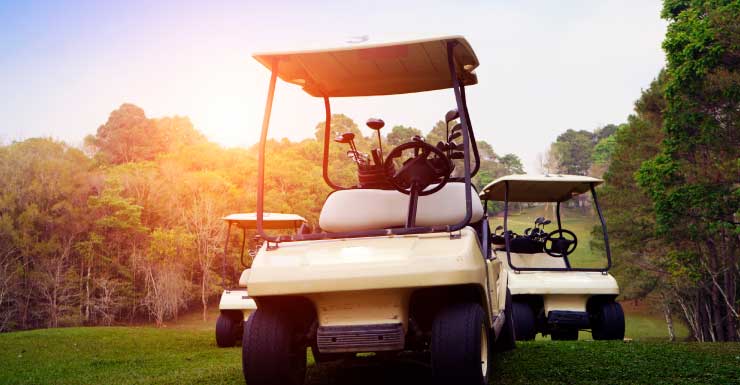 Dunedin golf cart driver arrested for DUI after crashing, injuring passenger: PCSO