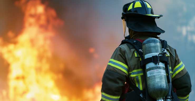 Firefighters battle blaze in Santa Rosa Beach, 100-pound tortoise rescued