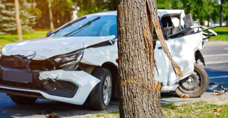 Gainesville man dead after crashing into tree