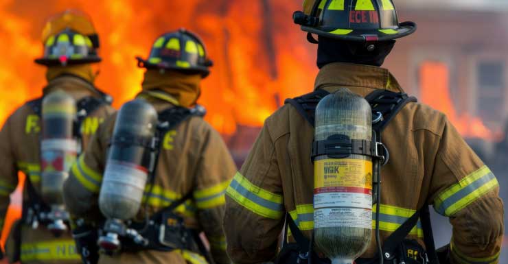 Some ZooWorld animals did not survive morning fire, BCSO confirms