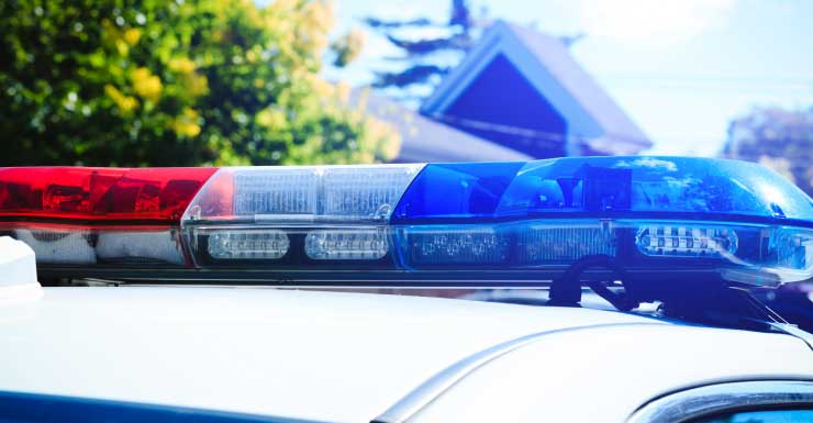 Woman accused of hit-and-run with rental car in Lee County