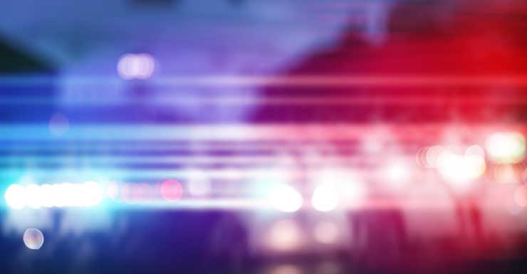 Woman accused of sparking house fire that killed dog in Lehigh Acres