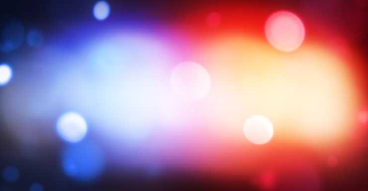 Woman bitten in the face at Oxford Downs on New Year’s Day