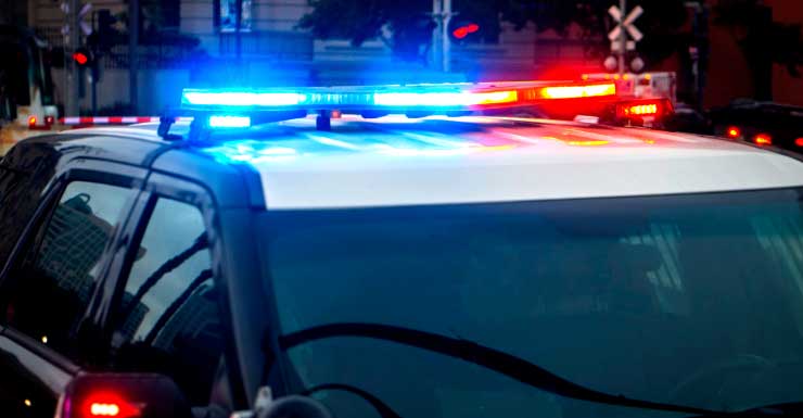 Lehigh Acres woman accused of hit-and-run bathed in stranger’s pool before kicking dogs