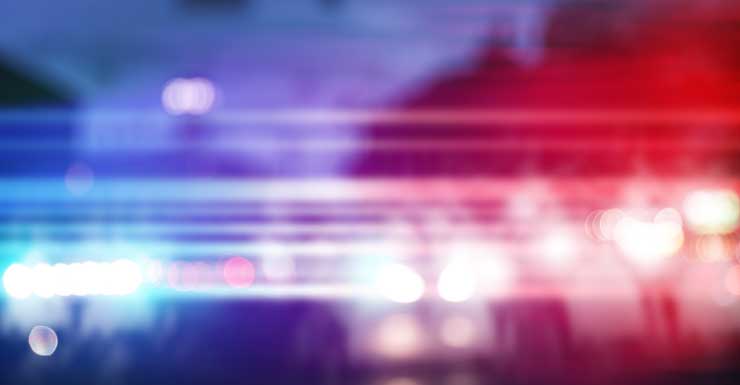 Man arrested after fight leads to stabbing at Ferran Park in Eustis, police say