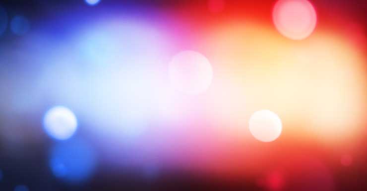 Port St. Lucie father killed by son after argument over dog