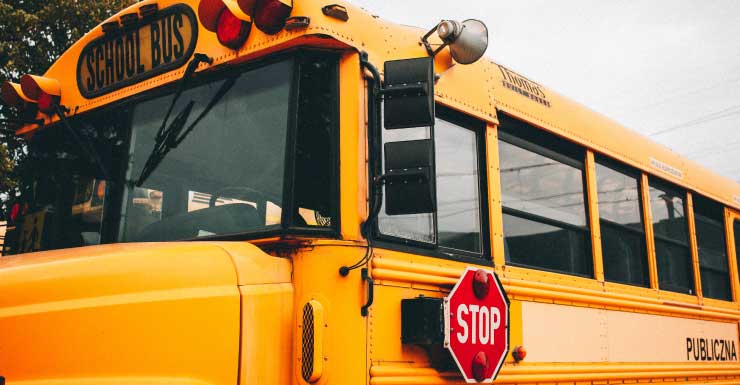 School bus hits, kills cow in Manatee County