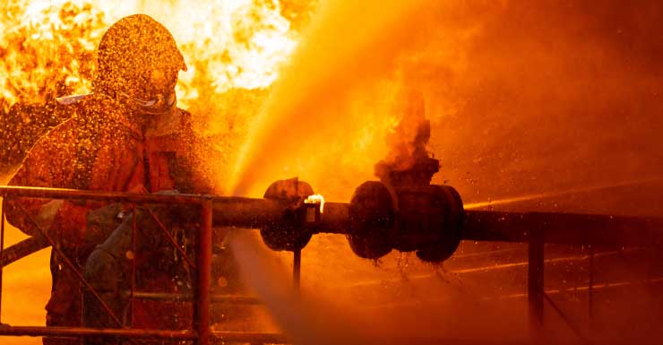 2 dogs rescued from Plantation apartment fire