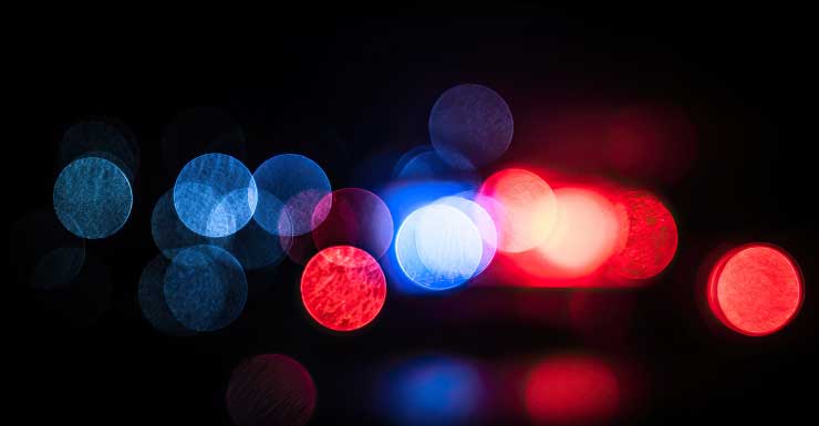 Man arrested at No Kings Protest in Sanford for hitting woman with sign, police say