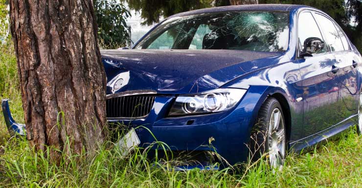 Sumter County man dies after crashing into tree in rural area