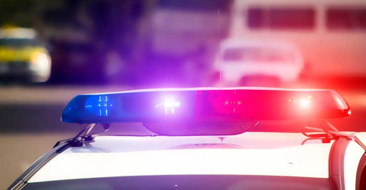 Villager allegedly attacks man walking dog who peed on pole near his home