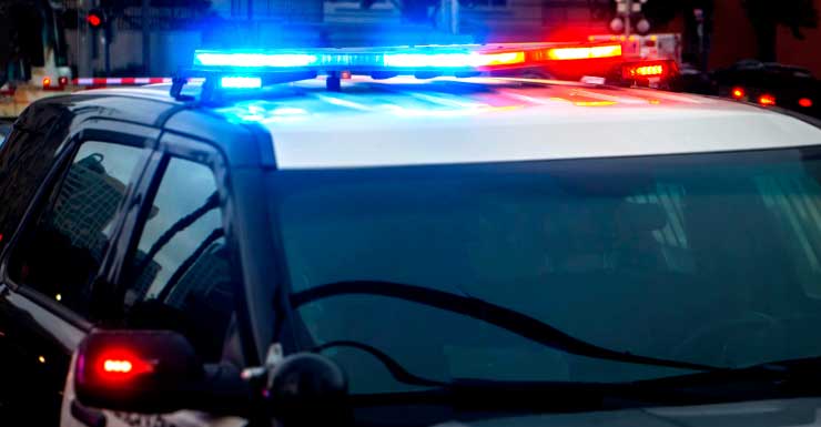 Man charged with murder after Venice fight turns deadly, police say