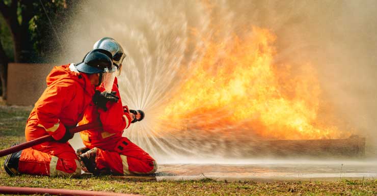 Three cats, two ferrets missing after Brooksville camper fire: HCFR