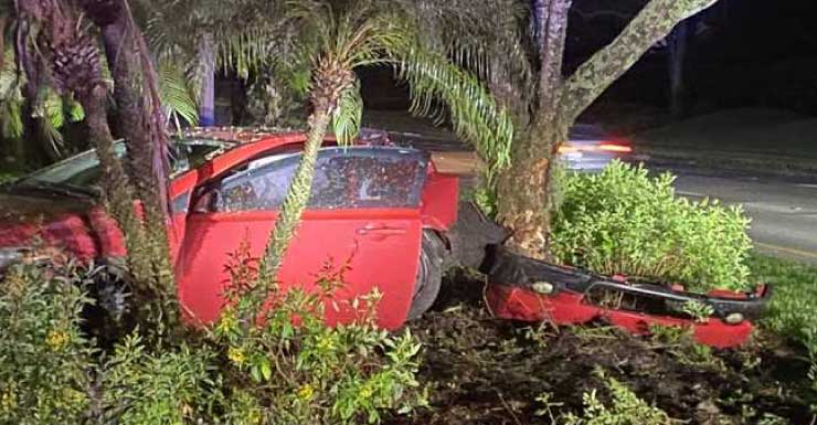 Car crashes into tree on Three Oaks Parkway in Estero