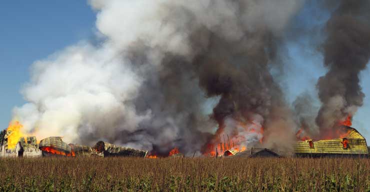 Fire rears up at Longwood mobile home park
