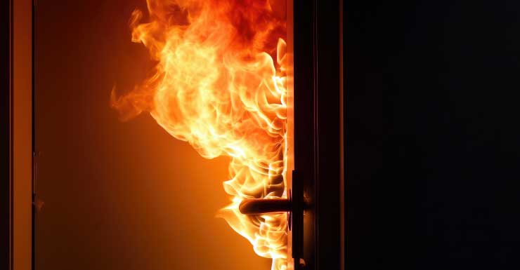 One cat dies in Belleair Bluffs house fire: LFR