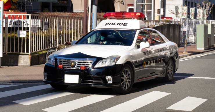 Police investigate fatal hit-and-run on Palm Bay Road