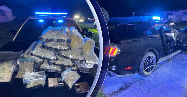 Driver arrested after high-speed chase on I-75 ends in crash, FHP finds large amount of marijuana
