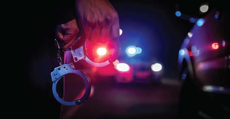 Man arrested for leading deputies on chase, crashing RV into tree, sheriff's office says