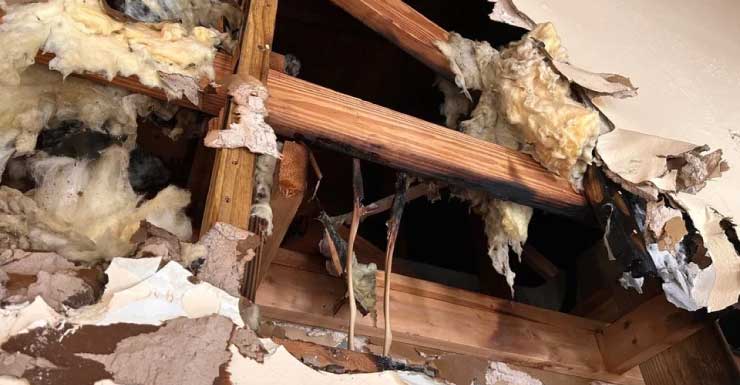 Ten displaced after Boynton Beach house fire, Red Cross steps in to help