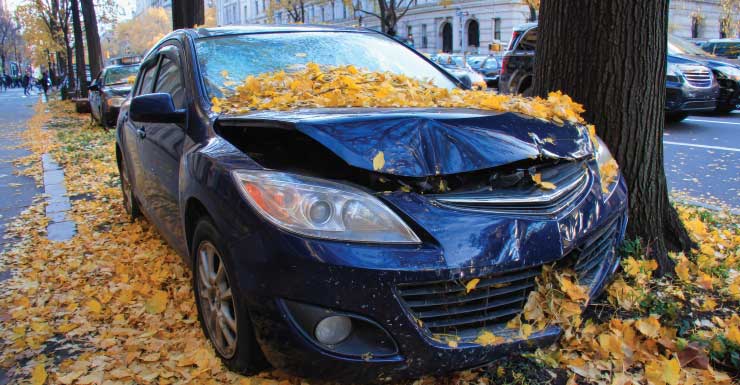 Venice man dies in one-vehicle crash