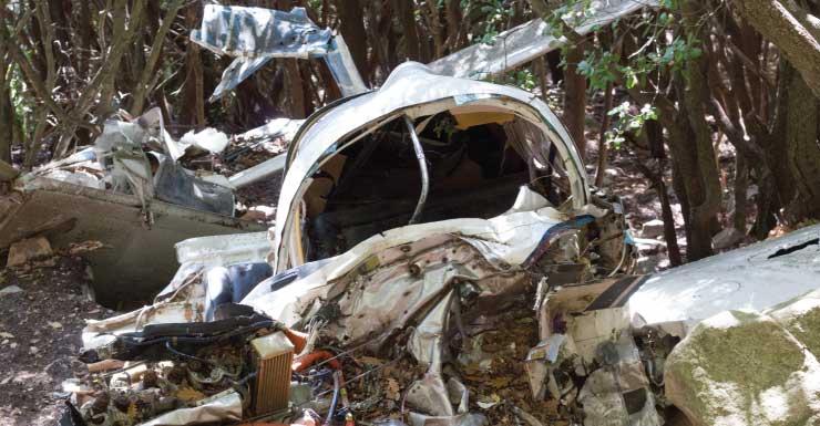 ‘Horrible tragedy’: Small plane crash in Polk County leaves 1 dead
