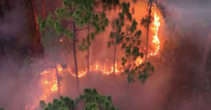 Crews fight brush fire near SE 24th Ave. and SE 12th St. in Cape Coral