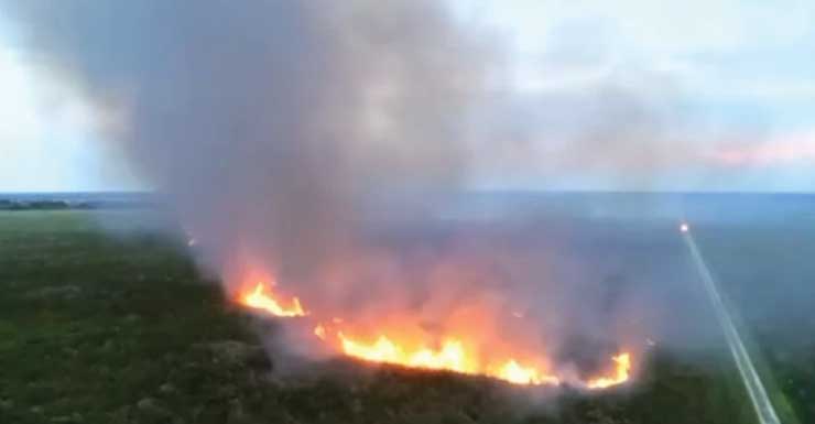 Firefighters battle 75-acre brush fire in Martin County