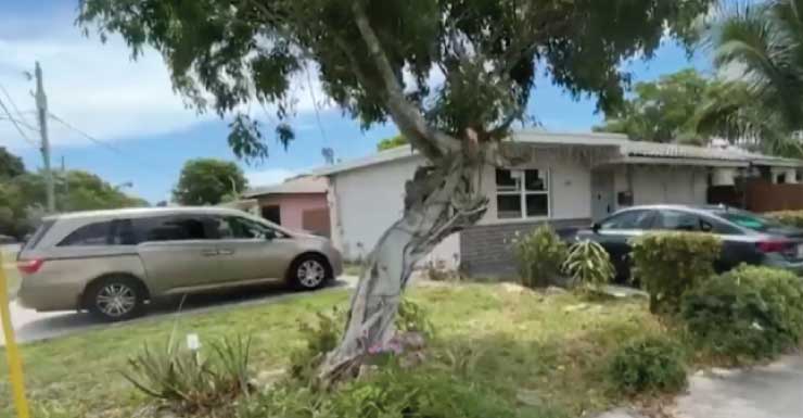 Girl, 2, died after being left for 3 hours in hot car in Hallandale Beach