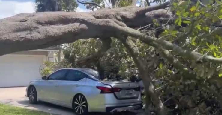'We heard a loud boom': Tree crushes Maitland family’s cars during thunderstorm