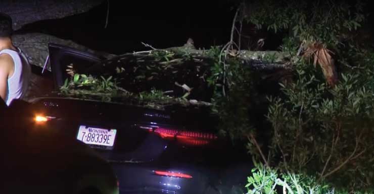 Car crashes into tree on Orange River Loop Road in Buckingham