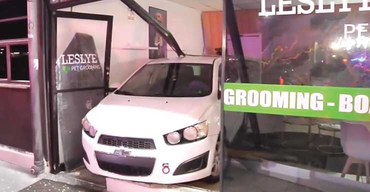 Driver smashes through Doral pet grooming shop; owner says no animals were hurt