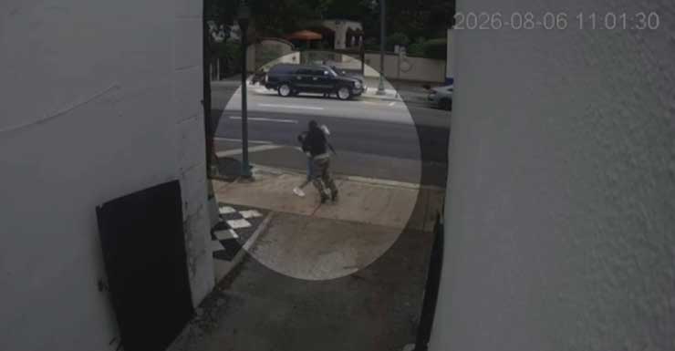 Surveillance video shows man randomly sucker punching 61-year-old woman in Miami; suspect in custody