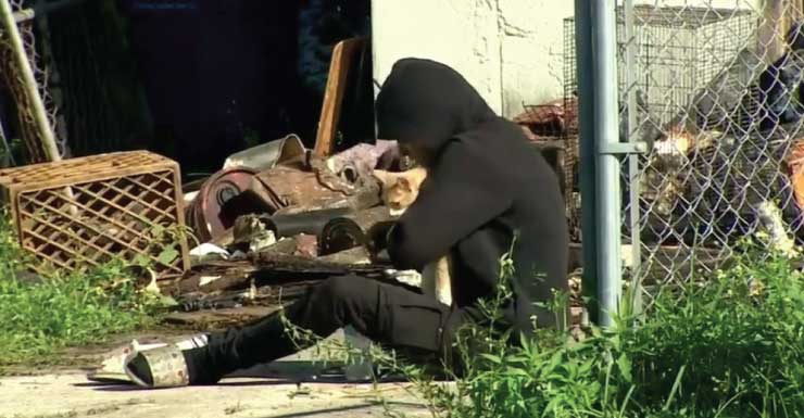 2 cats dead, elderly man hospitalized and family displaced after fire breaks out in NW Miami-Dade home