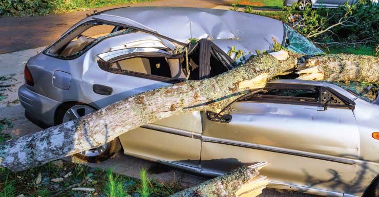 An 83-year-old Lake Butler man died Friday night after his car reversed across a road and hit two trees, according to the Florida Highway Patrol. Troopers said the man’s car was in a parking spot at Lake Avenue and Southeast 11th Street, near Union County High School, around 9:30 p.m. Friday, when he rapidly reversed.