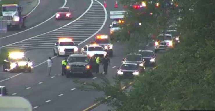 Lanes reopen after crash causes delays on northbound I-295 near I-10
