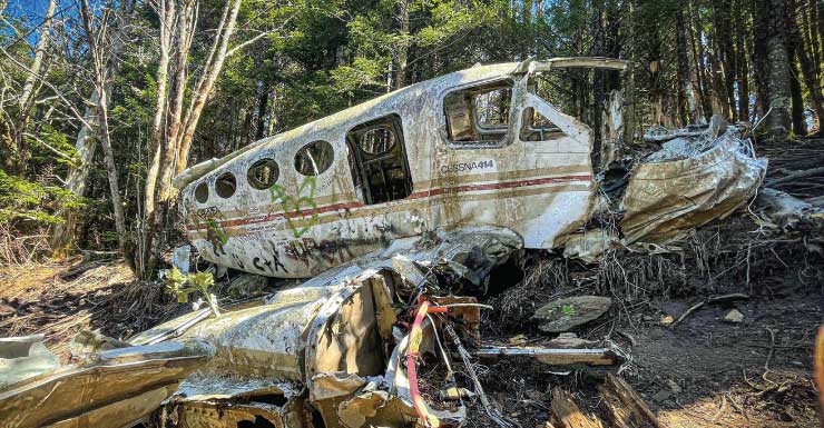 Pilot killed when small plane hits power line, crashes in Florida