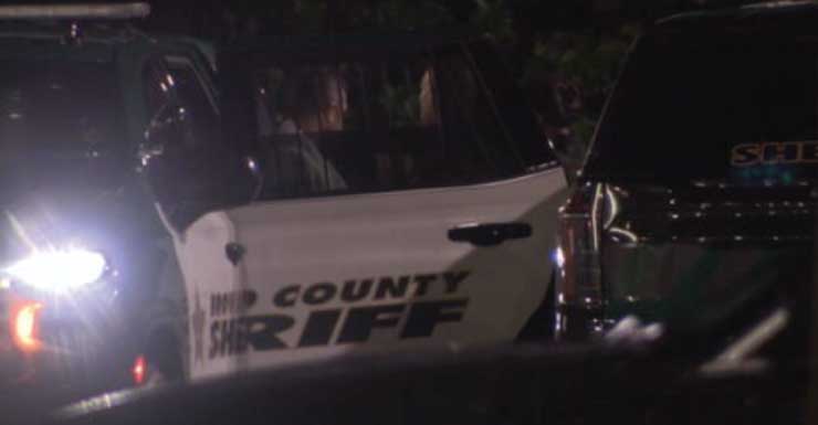 Woman, child hospitalized after dog attack in Dania Beach