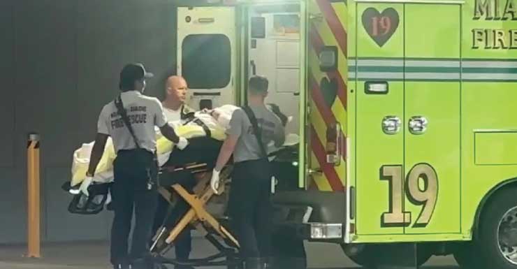Woman critical after being mauled by pack of dogs in NW Miami-Dade