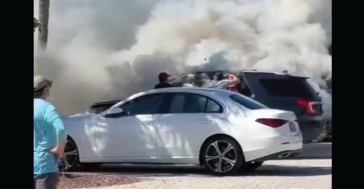 Two dogs die after flames engulf vehicle outside Seahorse Plaza on Sanibel
